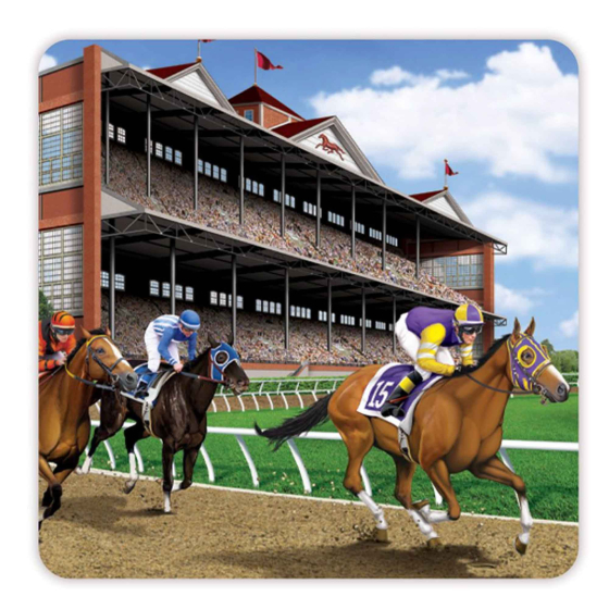 MELBOURNE CUP HORSE RACING COASTERS - PACK OF 8