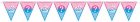 BABY REVEAL BOY OR GIRL PAPER PENNANT BANNER